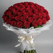 Букет 101 Красная роза Блэк Мэджик в Чебоксарах