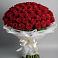 101 Красная роза Блэк Мэджик в Чебоксарах Букет 101 Красная роза Блэк Мэджик в Чебоксарах