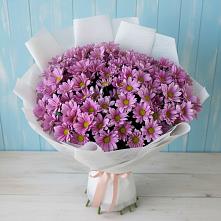Букет цветов из:  Хризантемы в Чебоксарах