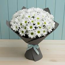 Букет цветов из:  Хризантемы в Чебоксарах